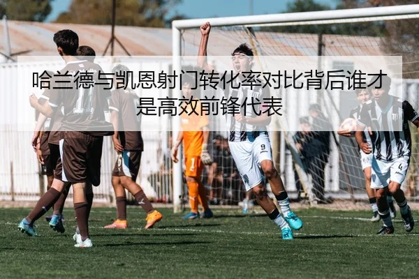哈兰德与凯恩射门转化率对比背后谁才是高效前锋代表
